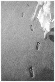 memories.jpg (10021 bytes)